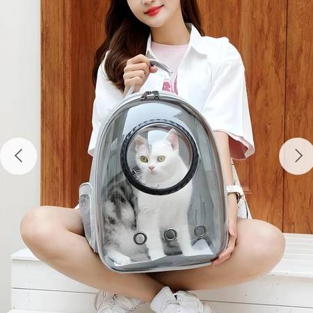 Luxury Cat Space Capsule Backpack 1