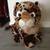 Large/Small Stuff Animals Etc. 2 thumbnail