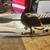 Cobra kayak for sale 12 feet 3 thumbnail