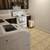 ** Ground Level 2BR-Suite ** 2 bedroom + 1 bathroom 5 thumbnail