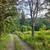 House with gorgeous varied land, 3.65 acres, great location 16 thumbnail