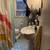 Large, Sunny Room in Columbia Heights Group House, $850 for Oct 31 4 thumbnail
