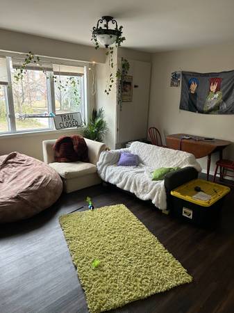 $1,600 / 3br - Disponible habitación de 3 dormitorios en Marcy Holmes!63868701065987124