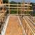Concrete Forms foundation for rent and hire 18 thumbnail