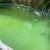 Do It Pools -Reliable Residential Pool Cleaning & Maintenance 6 thumbnail