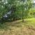 brush clearing-skidsteer work 10 thumbnail