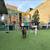 Ready To Move? Large Elegant Lofts, Gym, Roof Deck, Fire Pit 19 thumbnail