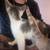 2 six month old kittens 2 thumbnail