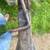 3 point center link from John Deere 4 thumbnail