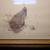 Golf Picture Bruce Harvey Framed Print 7 thumbnail