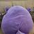 New Large Purple Unicorn SquishMallow 2 thumbnail
