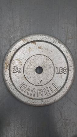One 25lb Standard Weight 1