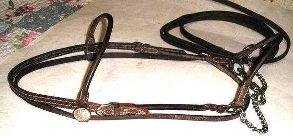 Arabian Horse Show Halter 1