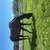 Barrel horse !!!! 7 thumbnail