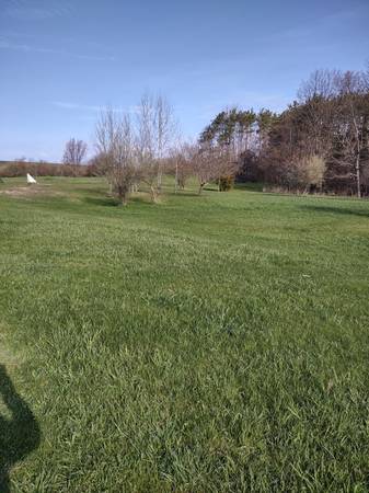 $82,400 Building site (Ludington)64037896908419120