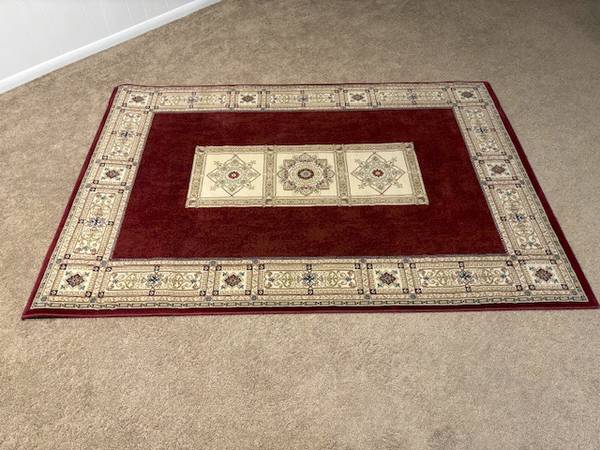 Area Rug 1