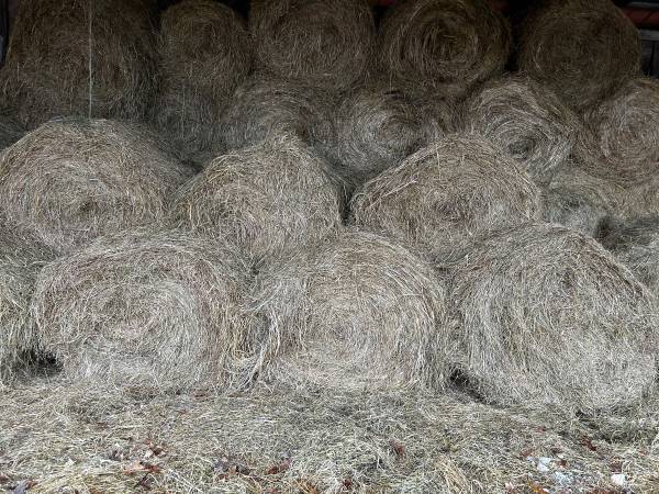 Hay for sale 1