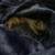 Guinea pig with cages 5 thumbnail