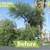 **Lawn and Maintenance Services, Quality & Excellence-Free Estimates** 16 thumbnail