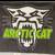 Arctic Cat Wall Flag (3’x5’) 2 thumbnail