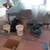 INTERIOR///EXTERIOR PAINTERS, PAINTING, (LOCAL) 13 thumbnail