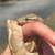 Ball Python Rehoming Setup - Complete Kit Included 18 thumbnail