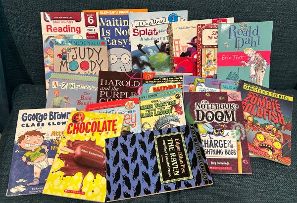 LOT 18 Early Reader Elementary School Age Books Boy or Girl 1
