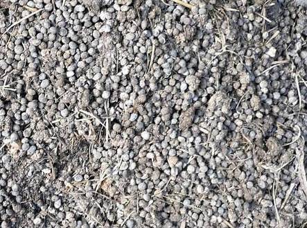 RABBIT MANURE ~ HURRY WON'T LAST 50lb - $10 (queens)63471345658497120