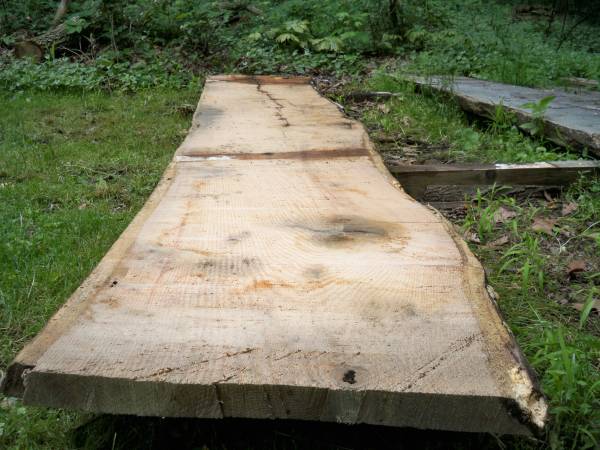 Live edge slabs 1
