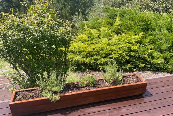 SEVEN Beautiful SOLID REDWOOD PLANTERS 6FT Long 1