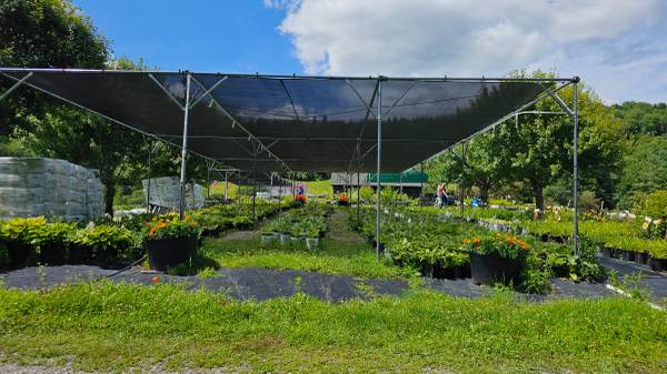 $450,000 / 413ft2 - Flower Farm For Sale! (Marshfield)63976978722306124