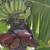 Banana plants 1 thumbnail