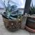 Succulents in 2 pretty ceramic pots 3 thumbnail