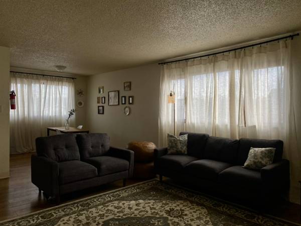 $2000.00 / 2br - 900ft2 - Modern 2 Bed, 1 Bath Unit in Anchorage | Available 03/01/2024 - $1600/64014174084483120