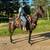 Well Broke Walking Horse - Skit 2 thumbnail