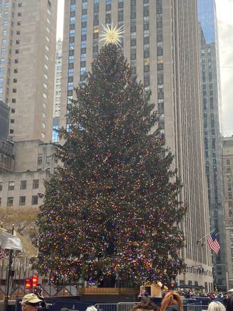 Dear Santa, all I really want for Christmas is a really nice room! 1