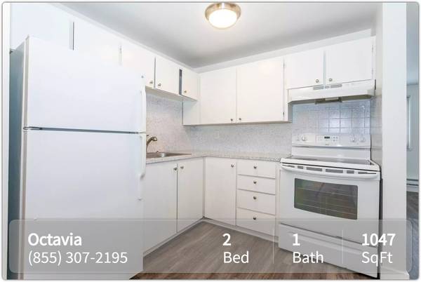 Incredible space. Inviting location. 2 bd 1 ba. Make a home with us! 1