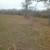 Mulching/shredding/skidsteer work. 6 thumbnail