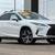 2022 Lexus RX 450h 1 thumbnail