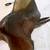 Price drop Cortina English saddle 8 thumbnail