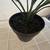 Artificial Greenery Table Top Greenery Potted Plant 4 thumbnail