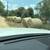 Hay hay hay located in st hedwig 78152 3 thumbnail