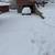 Snow removal from driveways and side walks 7 thumbnail