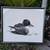 Vintage Duck Art Drawing Artist Signed Kelly Vollrath Limited Edition 1 thumbnail