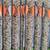Gold Tip Hunter XT 340 Arrows (12) 3 thumbnail