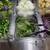 Fresh sprouting microgreens available right now! 17 thumbnail