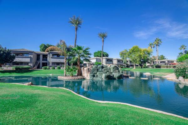 $1,384 / 1br - 742ft2 - Estaciones para asar al aire libre, Piso estilo tablón*, Estación de reparación de bicicletas (Chandler)64024996001281122