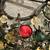 Set of 2 Green & Yellow Balls & Beads Hanging Tea Light Holders 5 thumbnail
