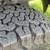 2014 Ford F-150 4WD SuperCab Short Bed V6 New Wheels and Level Kit 12 thumbnail