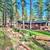 $3,400/ 3br - Tahoe Dream Vacation minutes from the lake 2 thumbnail
